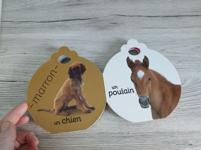 Lot de 2 livres imagiers animaux et couleurs - photo numéro 5