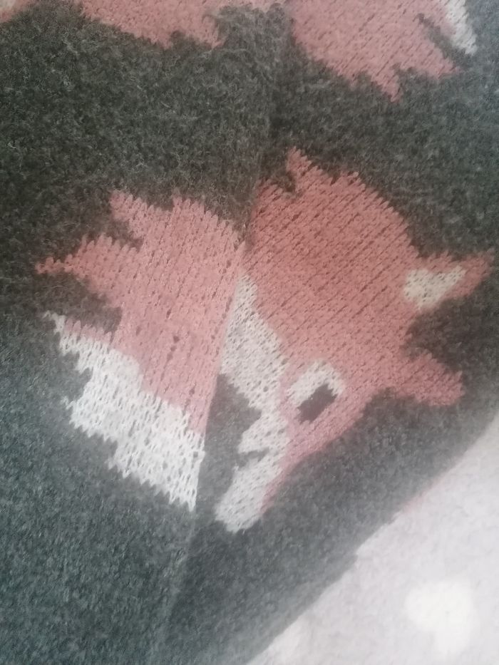 Pull 🦊 garçon 12 ans - photo numéro 5