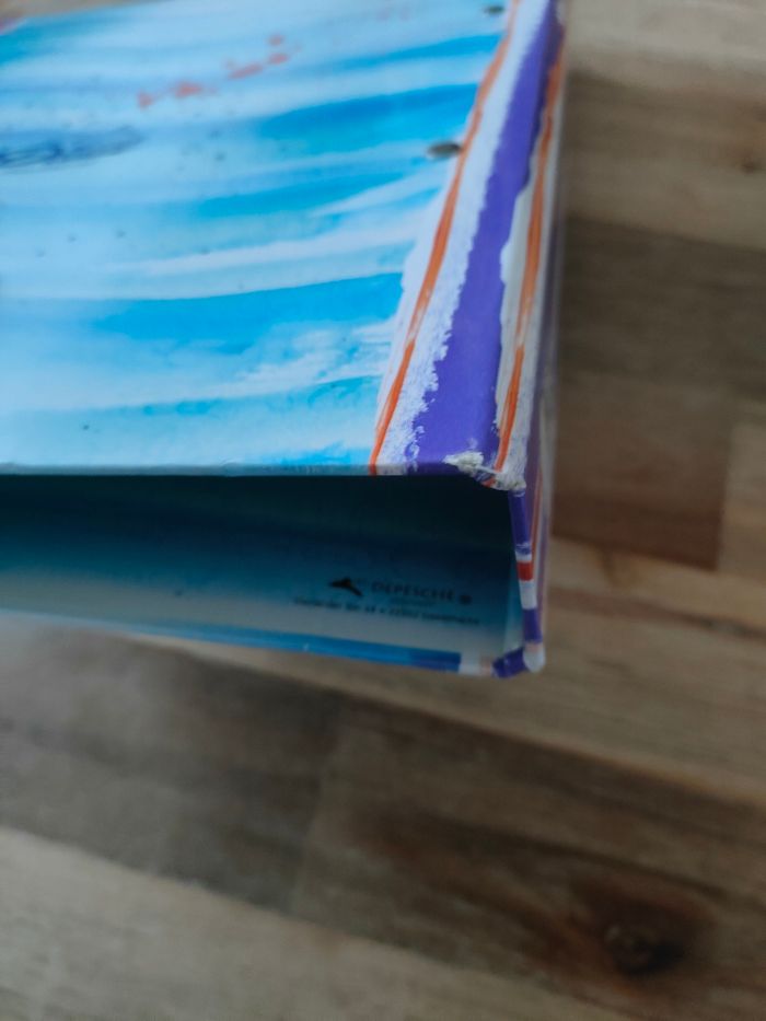 Classeur Diddl - photo numéro 4