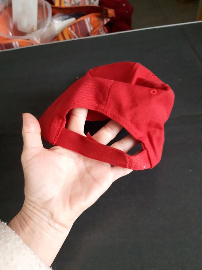2 casquettes - photo numéro 5