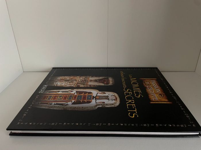 Les momies et leurs fascinants secrets - photo numéro 4