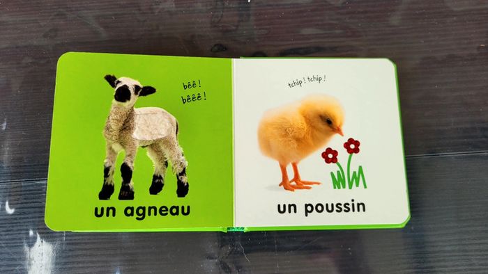 Livre à toucher - photo numéro 7