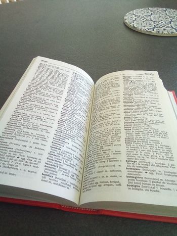 Petit dictionnaire français italien