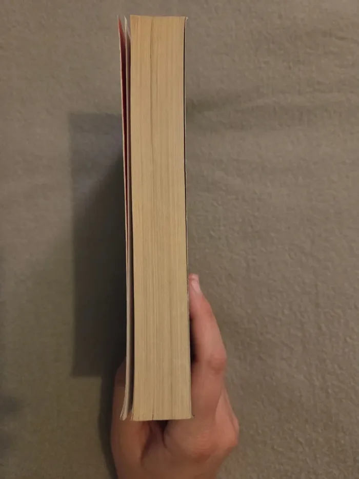 Papillon de nuit de R. J. Ellory - photo numéro 4