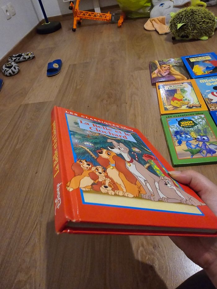Livre disney - photo numéro 1
