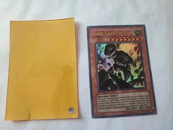 Carte Yu-Gi-Oh! Gaïa, géant de terre 1 ère édition anpr-fr094