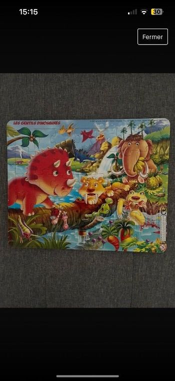 Lot de 4 puzzles