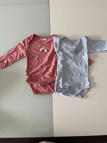 2 bodies