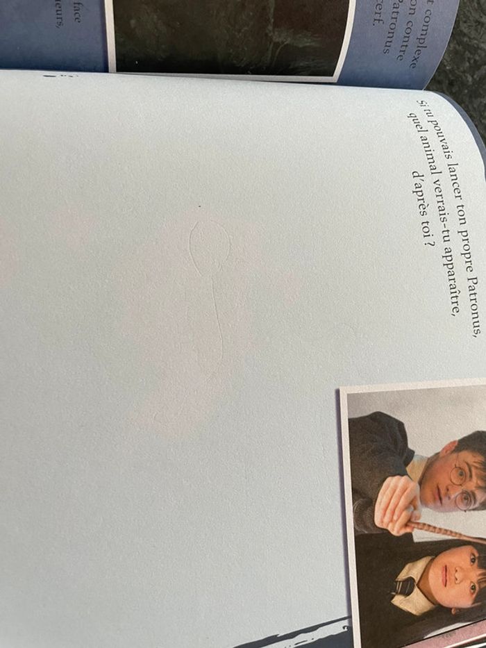 Livre Harry Potter « Poudlard le manuel des élèves - photo numéro 10