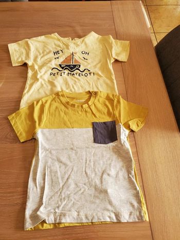Lot de 2 Tee-shirts Vertbaudet 2 ans