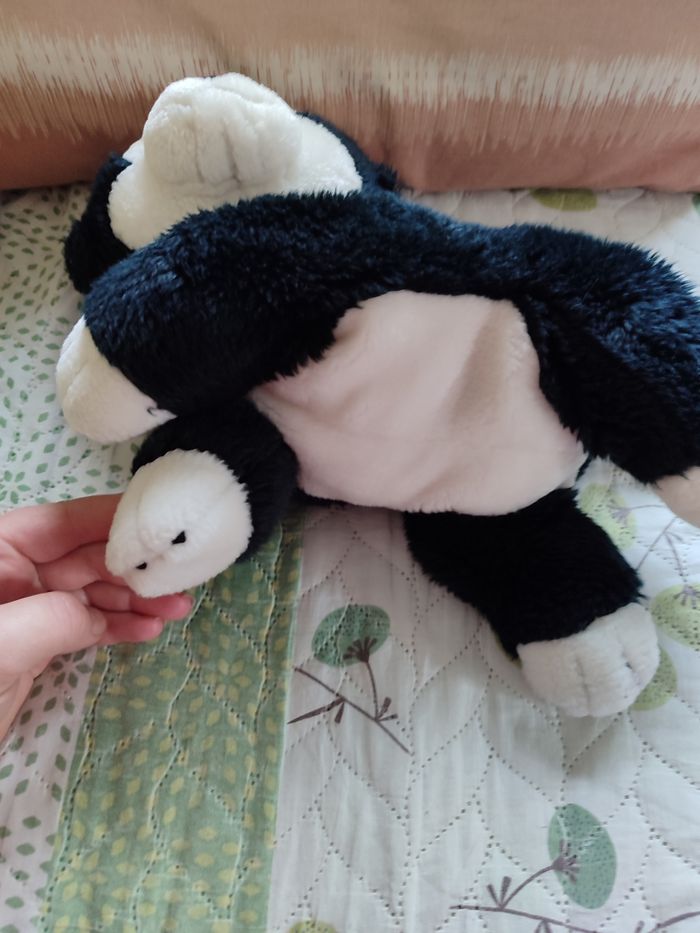 Figaro Pinocchio - photo numéro 2