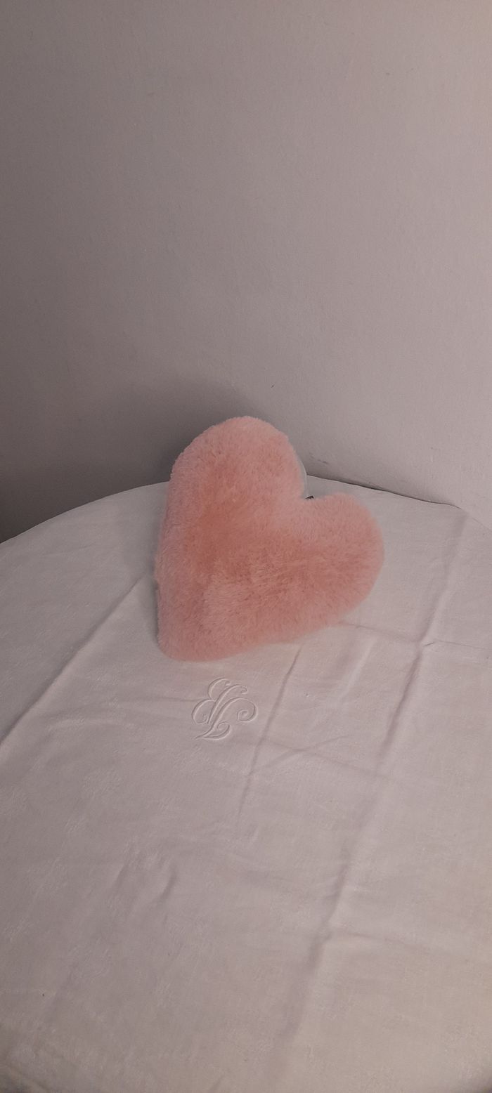 Cœur porte messages doux - photo numéro 2