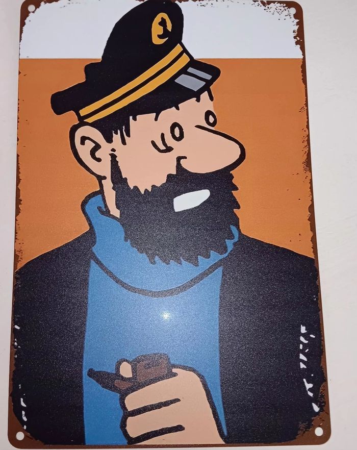 6 plaque Aluminium famille tintin - photo numéro 2