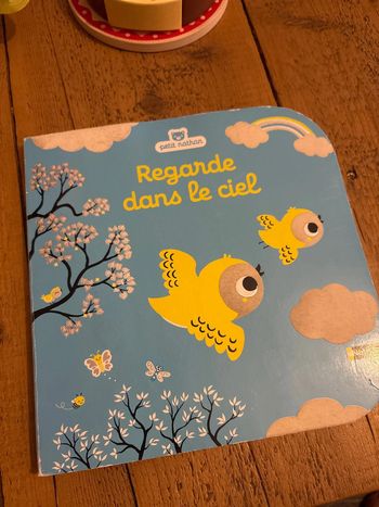 Livre Regarde dans le ciel Nathan