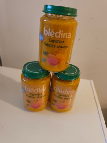 Bledina