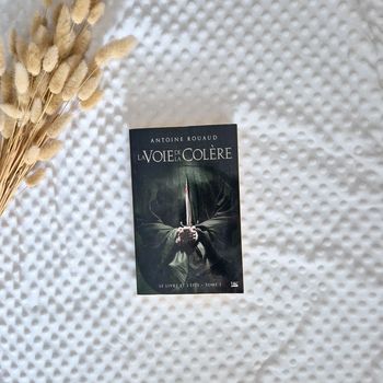 La voix de la colère - Antoine Rouaud