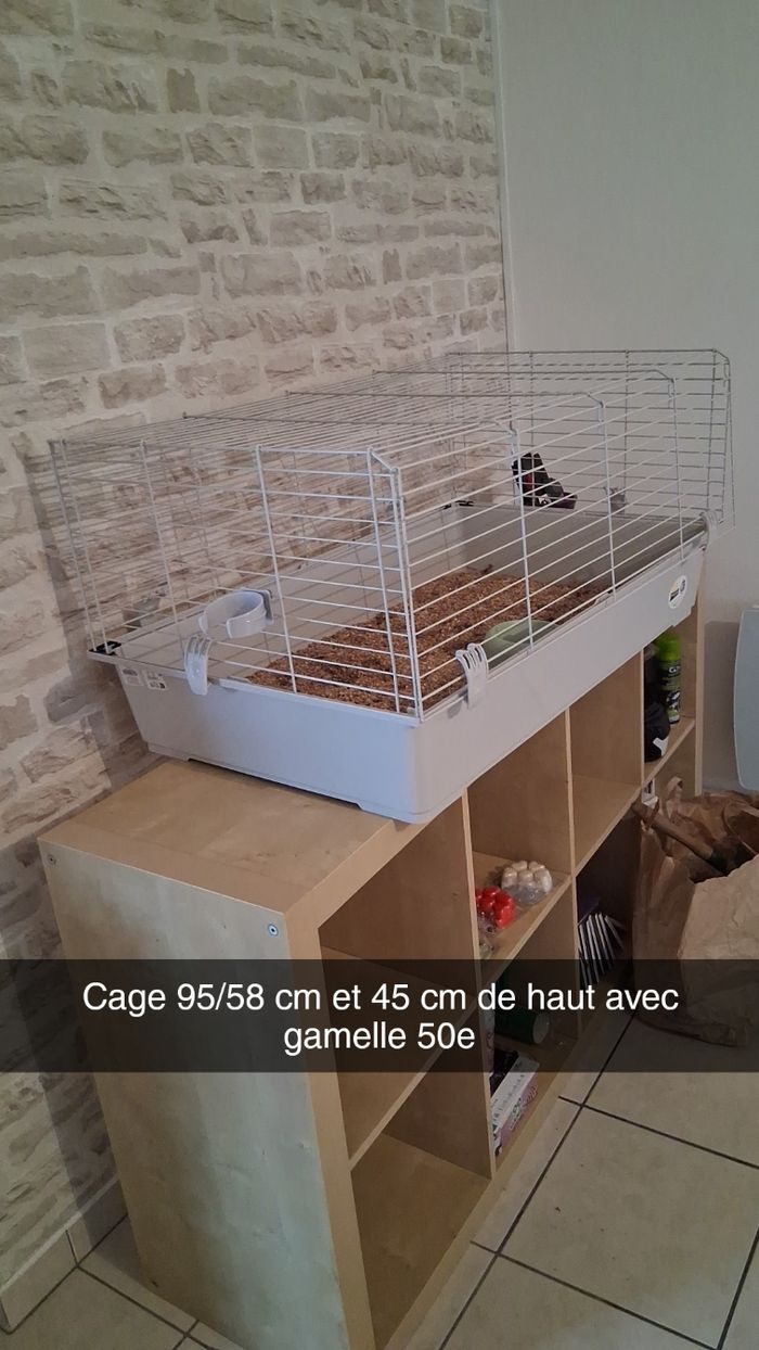 Grande Cage
