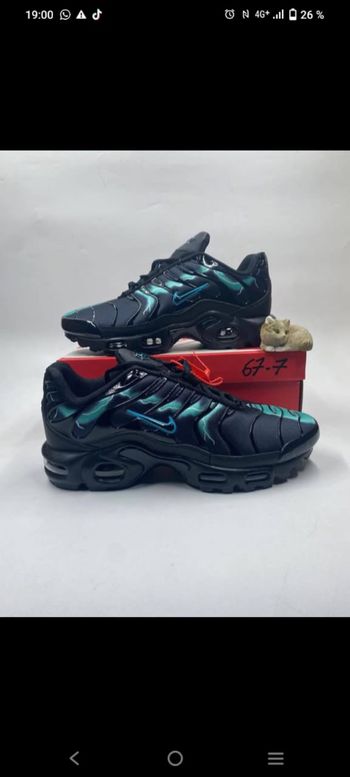 Nike tn