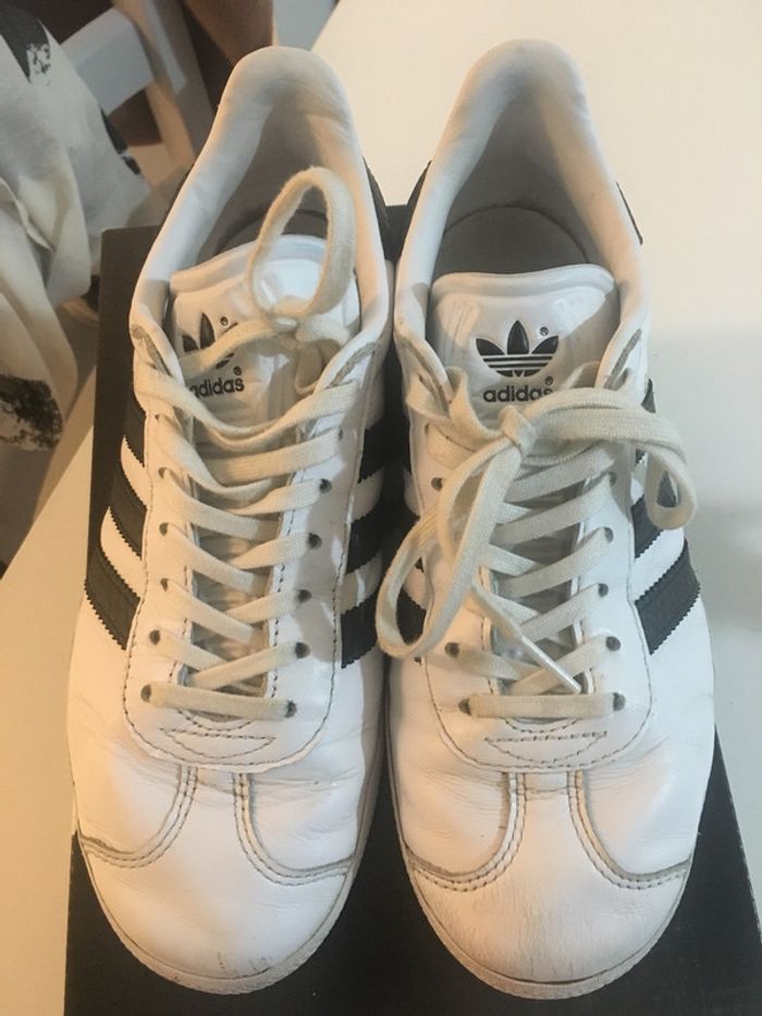Adidas gazelle