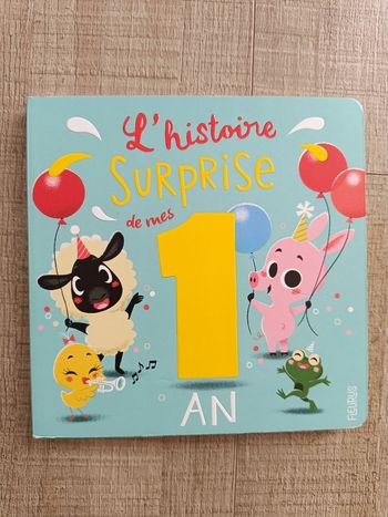 Livre l'histoire surprise de mes 1 an