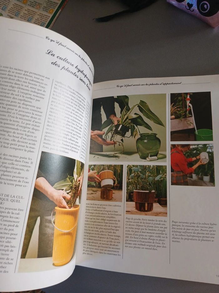 🍍 Livre Les plantes d intérieur - photo numéro 11