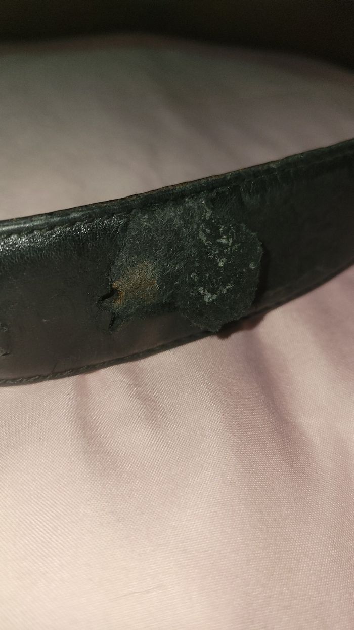 Ceinture - photo numéro 5