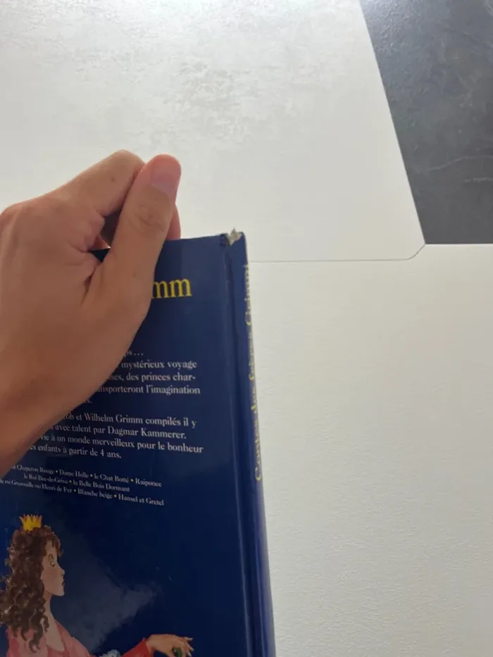 Livre les Contes des frères Grimm - photo numéro 3