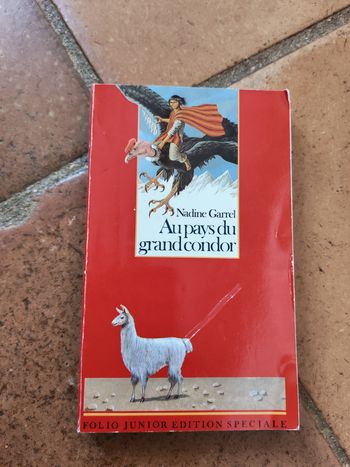 Au pays du grand condor, livre de Nadine Garrel, éd. Folio junior édition spécial