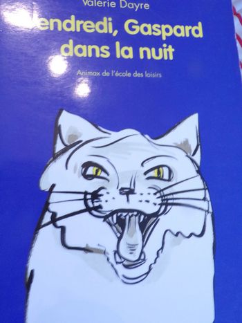 Livre  Vendredi , Gaspard dans la nuit Animax de l'école des loisirs