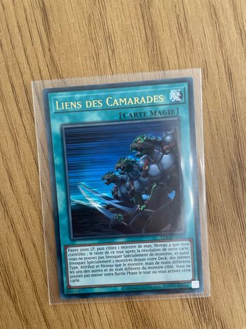 Carte Yu-Gi-Oh! : Liens des Camarades - LDK2-FRY02