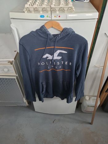 Sweat homme hollister