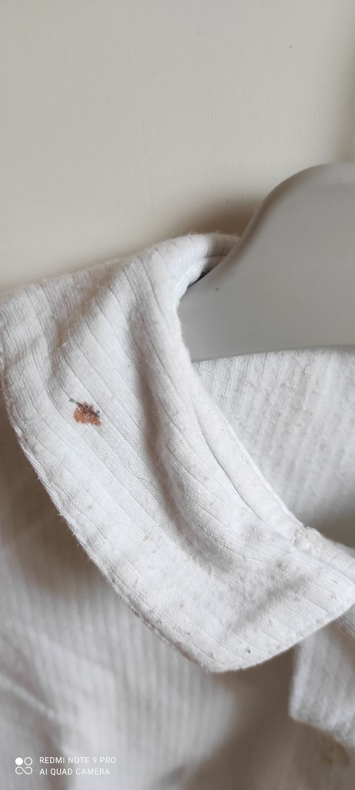 Chemise sergent major 12 mois - photo numéro 5