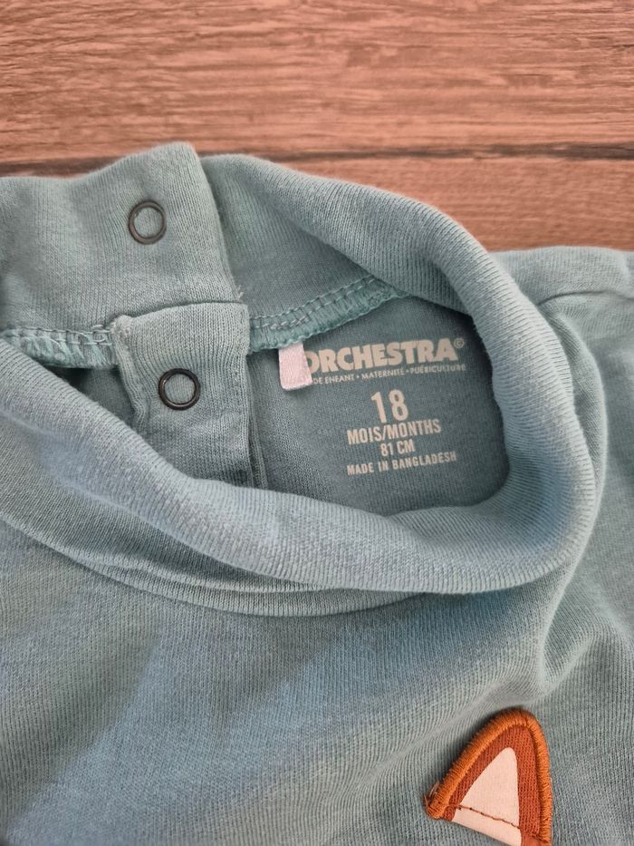 Lot de 5 tee-shirts manches longues 18 mois - photo numéro 7