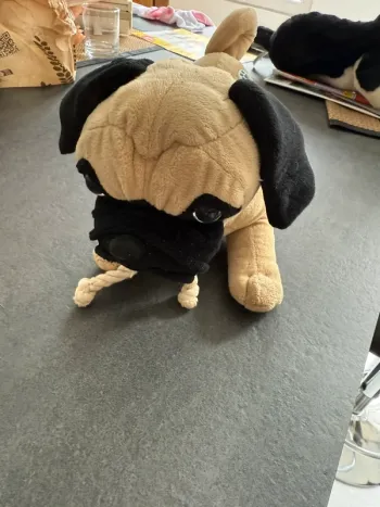 Peluche Carlin Nintendogs