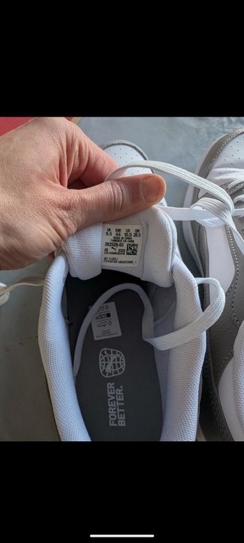 Basket puma