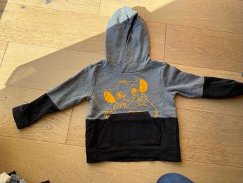 Sweat le roi lion 4 ans