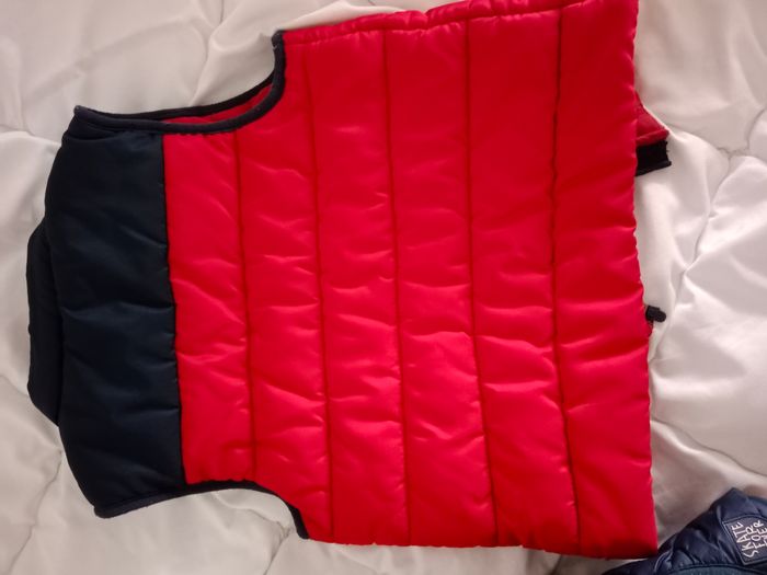 Lot 2 gilet 4 ans - photo numéro 5