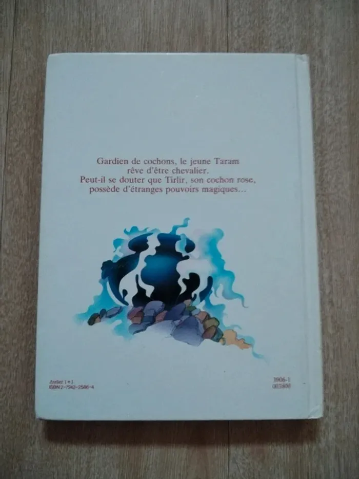 Lot gros livres Disney - photo numéro 8