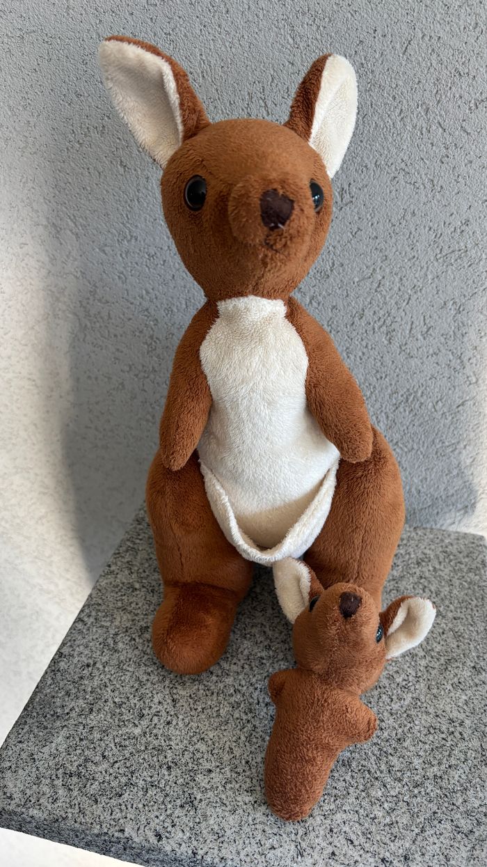 Kangourou avec bébé - photo numéro 2