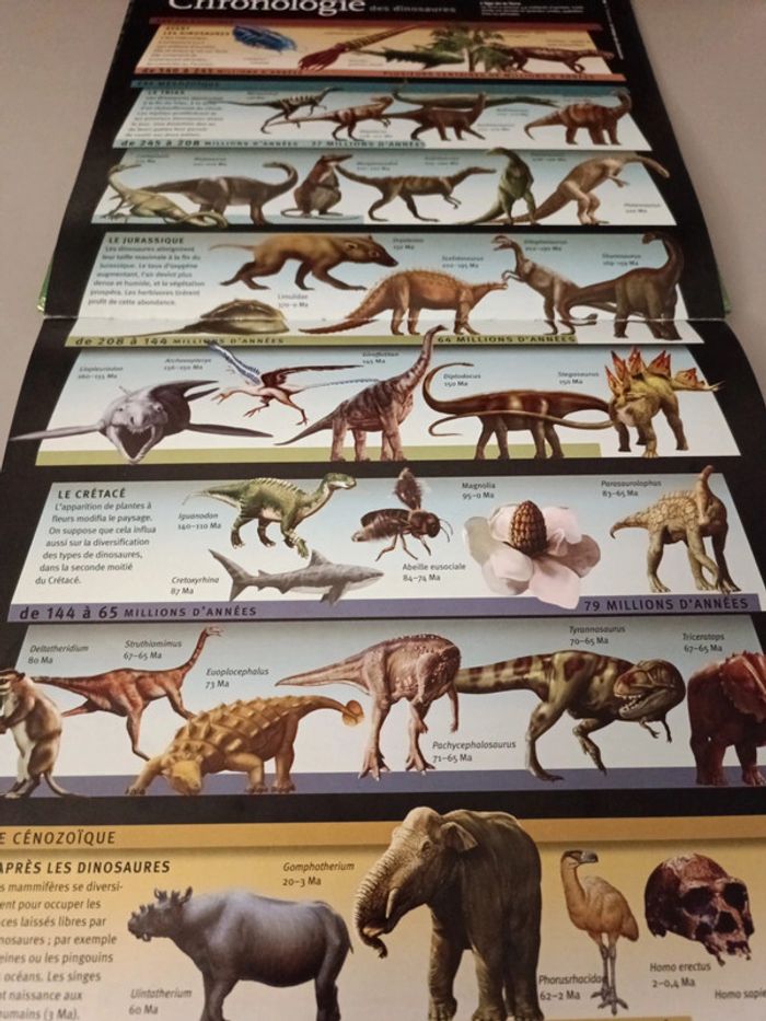 Les dinosaures à la loupe édition France loisirs - photo numéro 7