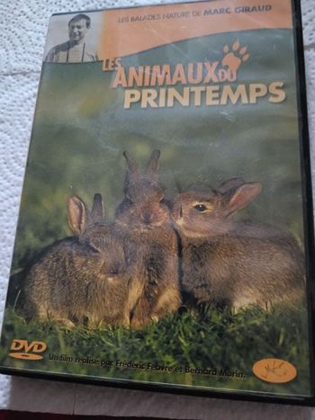 Les animaux du printemps