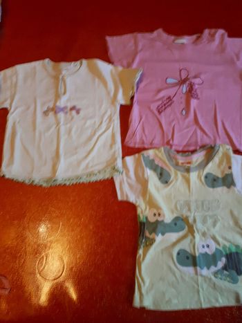 Lot de 3 t-shirt manche courte