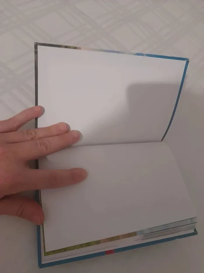 Livre Rémi sans famille 8/10ans - photo numéro 8