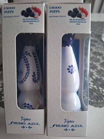 Vape 15 000 fruit du dragon