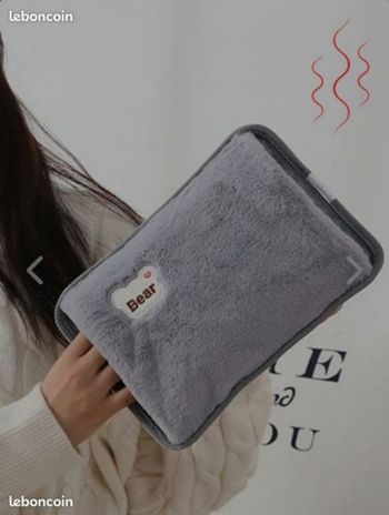 Bouillotte électrique