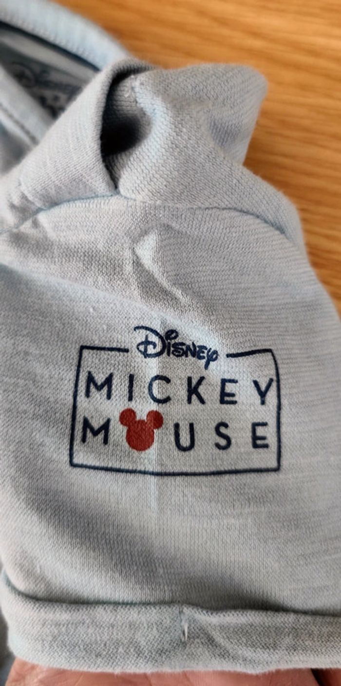 8 tee-shirts Disney 🧸 Peanuts🐶 et petits cailloux 6 - 9 mois 💞 - photo numéro 10