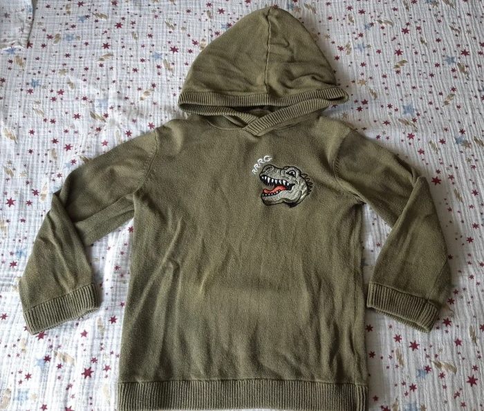 Pull capuche dinosaure vert Gemo 4 ans