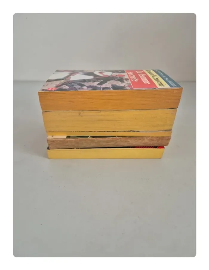 5 livres pour 1 euro seulement - photo numéro 7