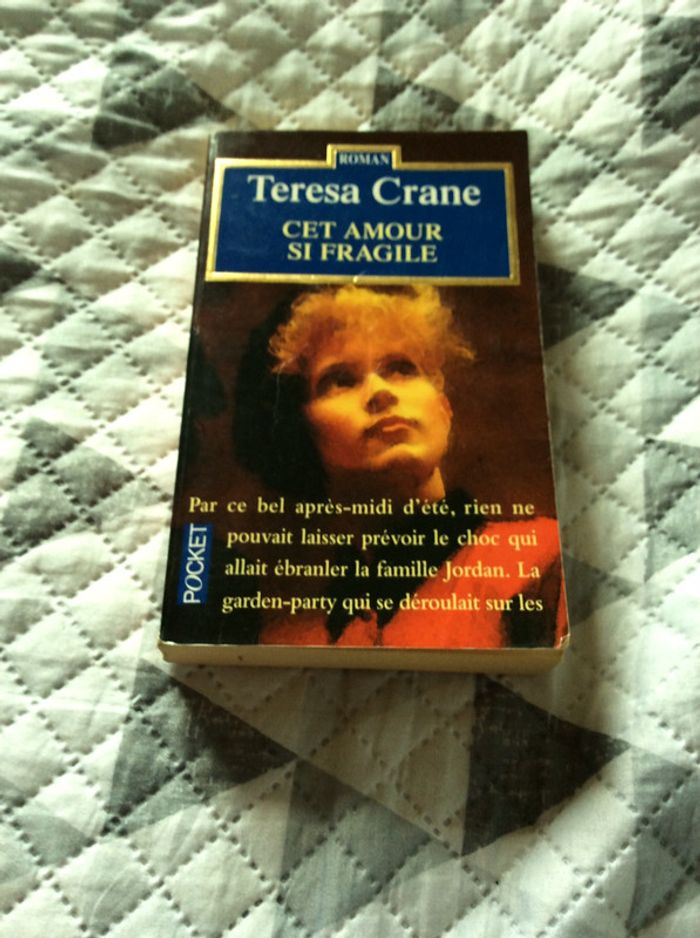 #cet amour si fragile par Teresa Crane - photo numéro 2