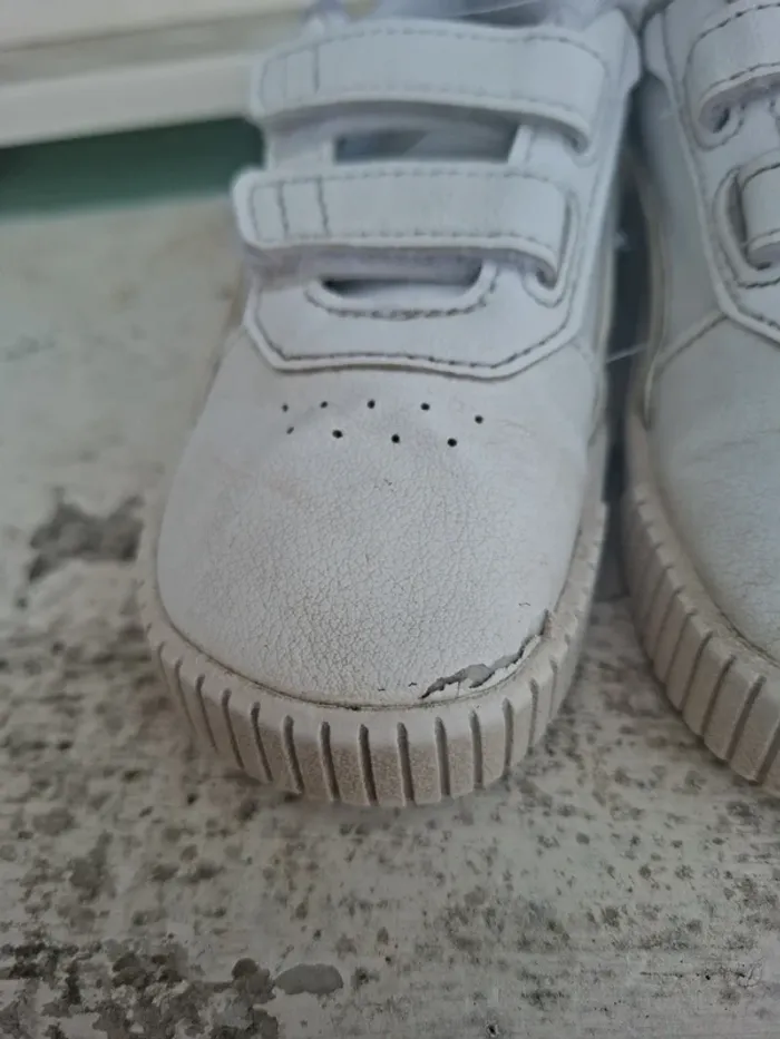 Puma taille 24 - photo numéro 2
